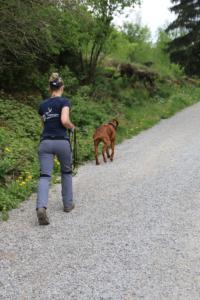 2018 Ausbildungswoche Arber